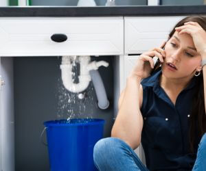About Sewer Line Replacement Machias, NY